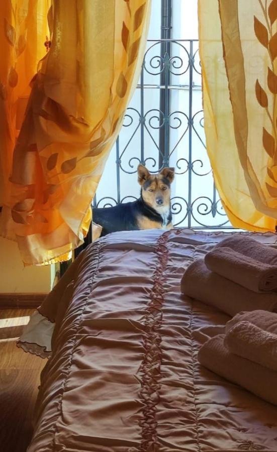 La Casetta Della Nonna Caramanico Terme Exteriör bild